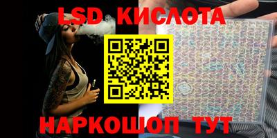 прущие крисы Гатчина