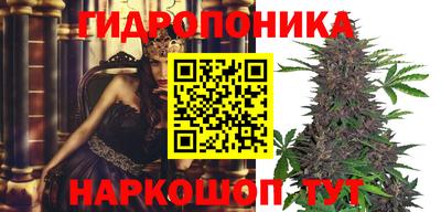 прущие крисы Гатчина