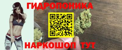 прущие крисы Гатчина