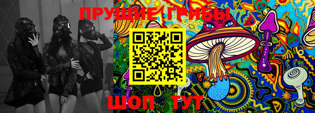 Псилоцибиновые грибы MAGIC MUSHROOMS Кемерово
